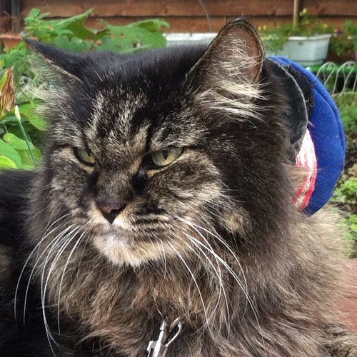 clavius0323's profile picture. 大阪生まれの禅僧。SJ30-2型幌レストア完了。 酷道・廃道探索ツアーにちょこちょこ行ってます。