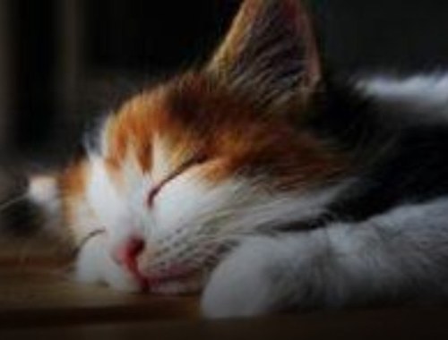 msdtkpr's profile picture. 