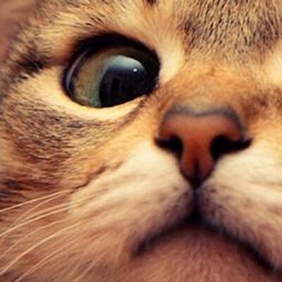 さく