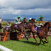 Wexford Racecourse (@WexfordRacecour) Twitter profile photo