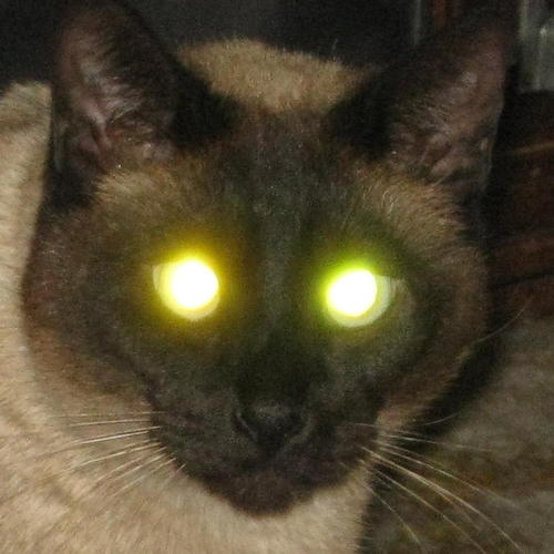 I don't know such stuff ... I just do eyes