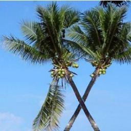 Boracay_Tours's profile picture. The leading promoter for tourism from AUSTRALIA to Boracay.