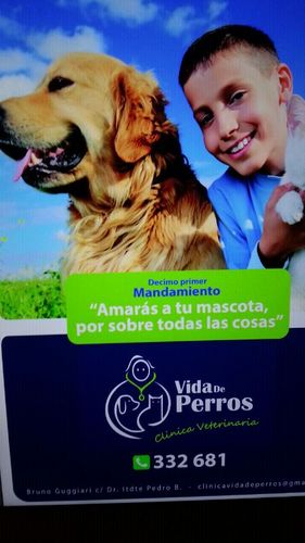vidadeperrospy's profile picture. Clinica Veterinaria tel: 021-332-681