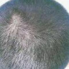 tachibanana's profile picture. 映像の仕事はやめました。 きまぐれでキャラクターを制作してません。