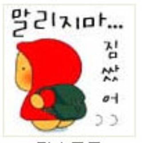 2022년 6월 11일 송이를 데려 옴~ 싱가폴에서 4년 6개월을 살다가 고향살이~ 항상 여행을 떠날 준비!!!
