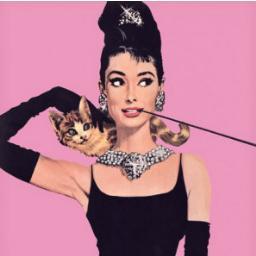 DemirOkce0's profile picture. hem kacik hem asik