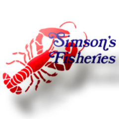 We are a fish wholesaler. We source our fresh fish from local day boats along the south coasts, as well as major ports in the UK and mainland Europe.
