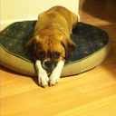 Tim Halligan - @TimmyHalligan - Twitter