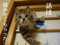 ※突発的な人見知りにご注意
