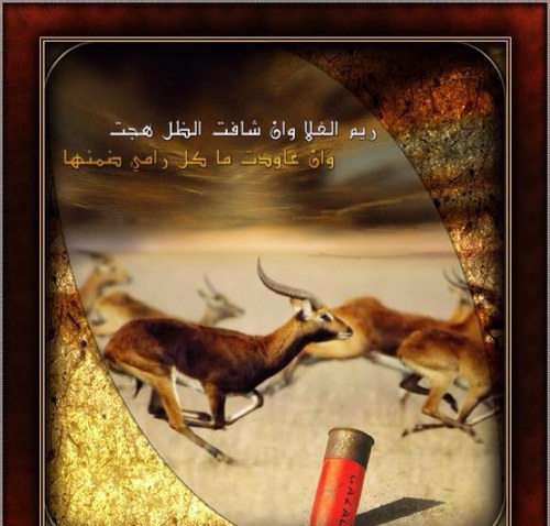 راي اللهب على تويتر Totyf1 يا قلبي سلمك من كل شيء يؤذيك.