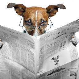 DailyHeadlines2 Profile Picture