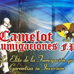 Especialistas en la prevencion , control y exterminio  de todo tipo de plagas que se considere amenaza para la industria, comercio y seguridad domestica