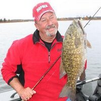 Tom Neustrom (@tomneustrom) Twitter profile photo