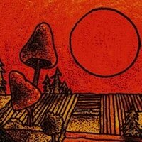 woodstripeπ²💚 (@woodstripe) 's Twitter Profile Photo