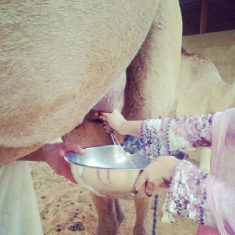 El9be7y's profile picture. أنآ آبنةة آبي`علمني كَيف آعيشّ آميرَهةة..♡