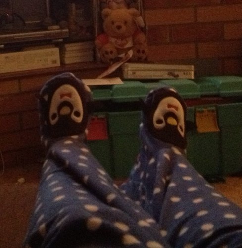 cidermytipple's profile picture. 