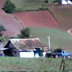 lorenalopezr03's profile picture. 