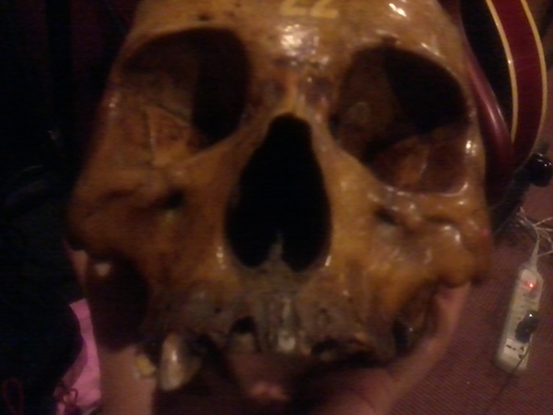 atthewombdotcom's profile picture. With Louie Talan and Wombworks as creative partners we want to provide music fans with a venue to do what they do best: love music. Because hey, we’re fans too.