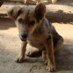 jeff_friesen's profile picture. Co-founder, Radiant Labs, Snugg Home