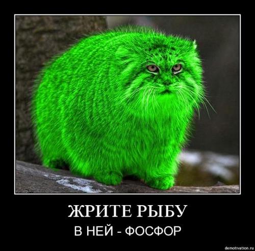 ЗАО Вселенная. Президент. Если хотите пофамильярничать, то просто - господин Директор Вселенной. Всем вэлком!
(несерьёзный аккаунт серьёзного человека)