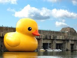 ChelseaFox101's profile picture. I enjoy been random, i love to be around the people i love. i 3 Olly Murs. x