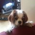 Judy Westcott-White (@judy101ww) Twitter profile photo