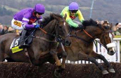 A Racing Team dedicated to picking value bets and overpriced horses rather than odds on winners