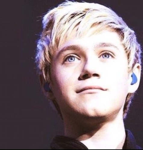 I am the soul of Niall Horan. I thrive on heartbeats, smiles, fans, Nando's & me guitar.