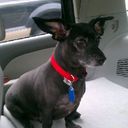 Buddy Boyd - @BlackBulletBoyd - Twitter