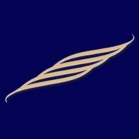 German Airways VA e.V. (@germanairwaysva) Twitter profile photo