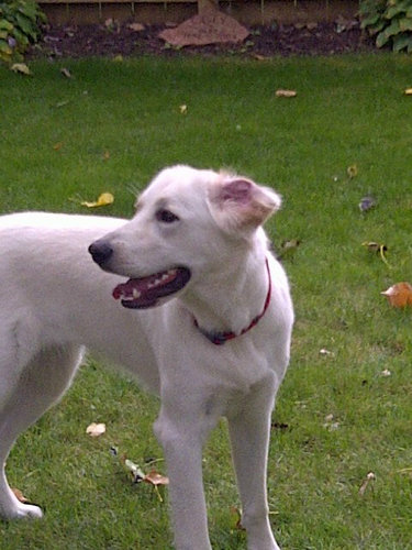 ripley_kyle Profile Picture