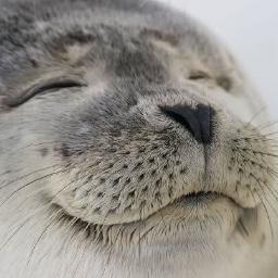 You4Happy's profile picture. Stay happy forever...