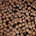 Mitzy Rodriguez - @mitzyarog - Twitter