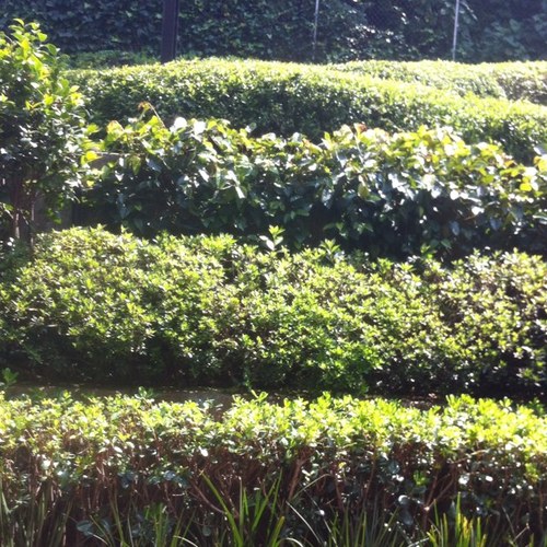 taniatwitt's profile picture. 