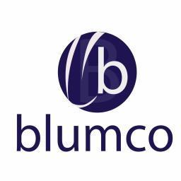 blumco is a B2B environment where small enterprises can meet, collaborate and support each other.