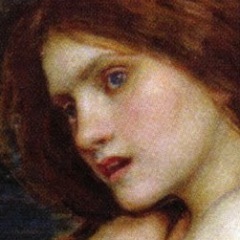 litmuse Profile Picture