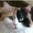 NancysOldies's avatar