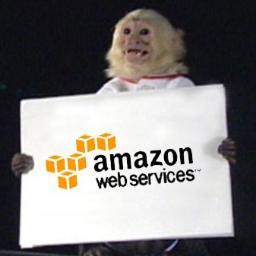 AWSISDOWN's profile picture. plz to fix my website