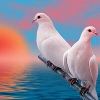 Heaven For Real (@heaven4r) 's Twitter Profile Photo Heaven For Real (@heaven4r) 's Twitter Profile Photo