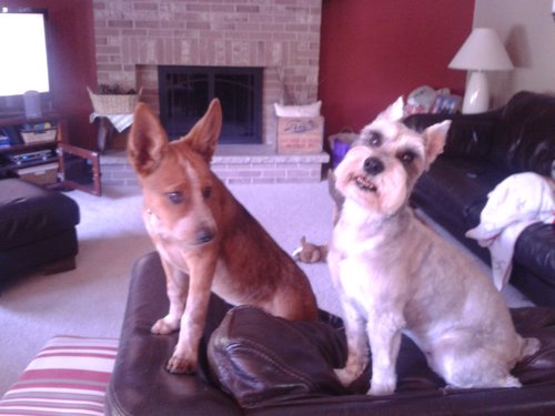 pamalynhenley's profile picture. 