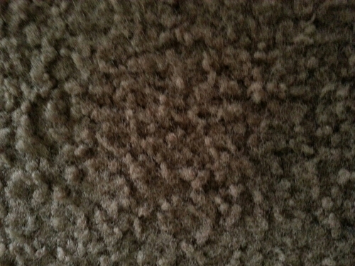 glasstable610's profile picture. 