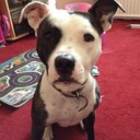 Donna middleton - @twinkleblue84 - Twitter