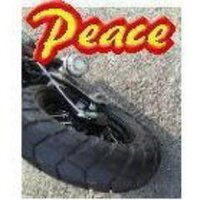 平和への道＠彡トシピコ彡 (@toshipiko007) 's Twitter Profile