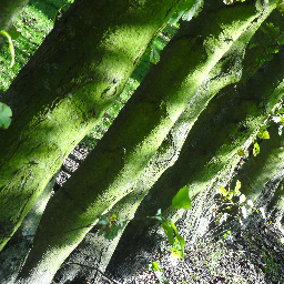 De elzentuin ruisscheweg oud beijerland De elzentuin ruisscheweg oud beijerland