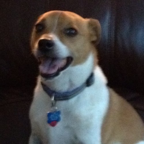 bshade79's profile picture. 