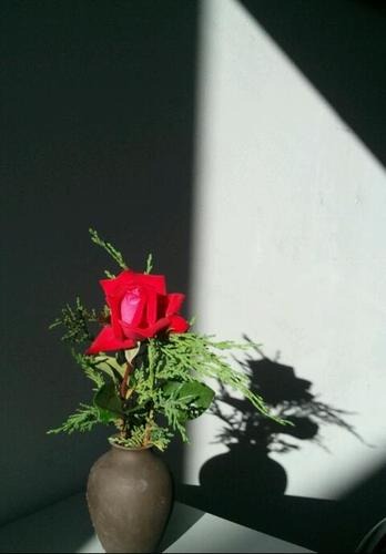 espeardura's profile picture. 