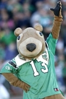 Official Twitter Of Gainer The Gopher. @GainerG
