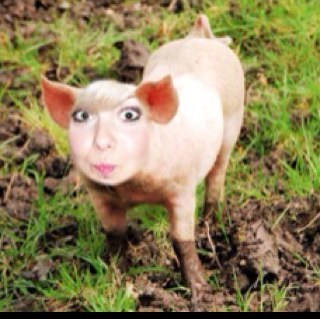 ikklemisspink's profile picture. I know the words to all the songs