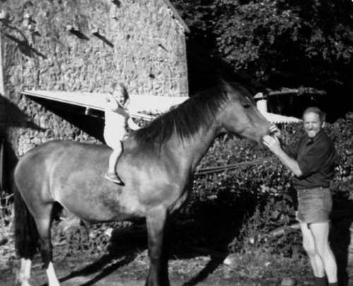 What is life without animals?! I blog about life with my two horses and competing as an amateur in various disciplines; The Irish Horse Life On FB + Insta 🐴 🐶