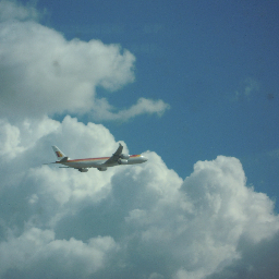 dddddomingo's profile picture. 